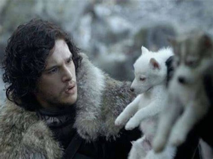 Danny Direwolf
